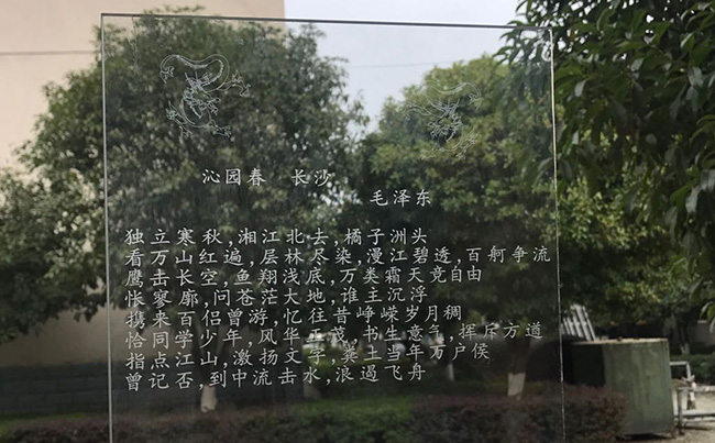 1542849181403448.jpg 333.jpg