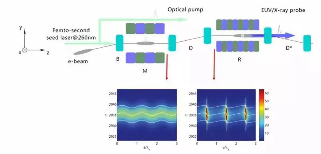 1568873275389002.jpeg 4.jpeg